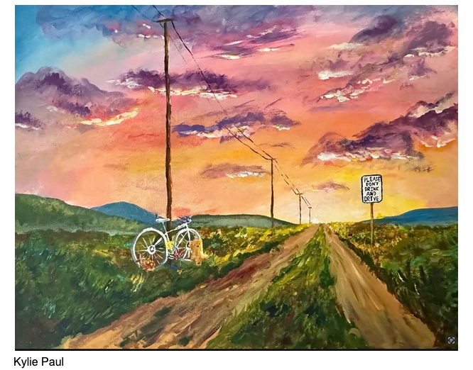 Kylie Pail art wok image of sunset, open field and a bike